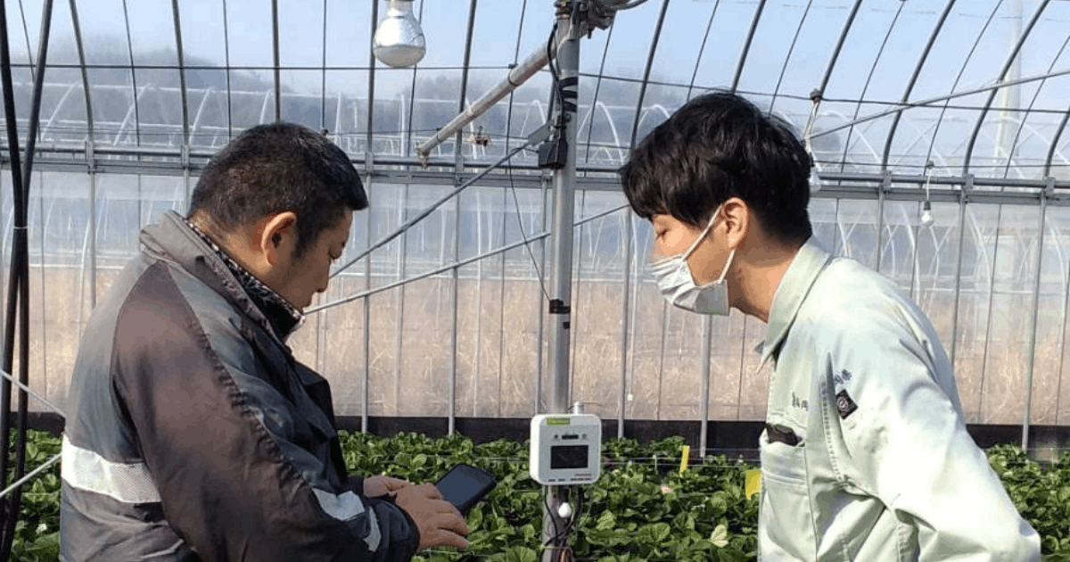 生体エネルギー応用商品　命慧(いのちゑ)しらべE 1台単品 e-kakashi